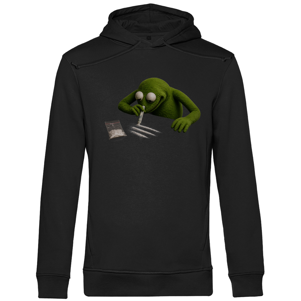 Bio Hoodie I Frosch